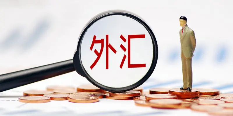 什么是外汇储备 外汇储备是什么意思，有什么作用